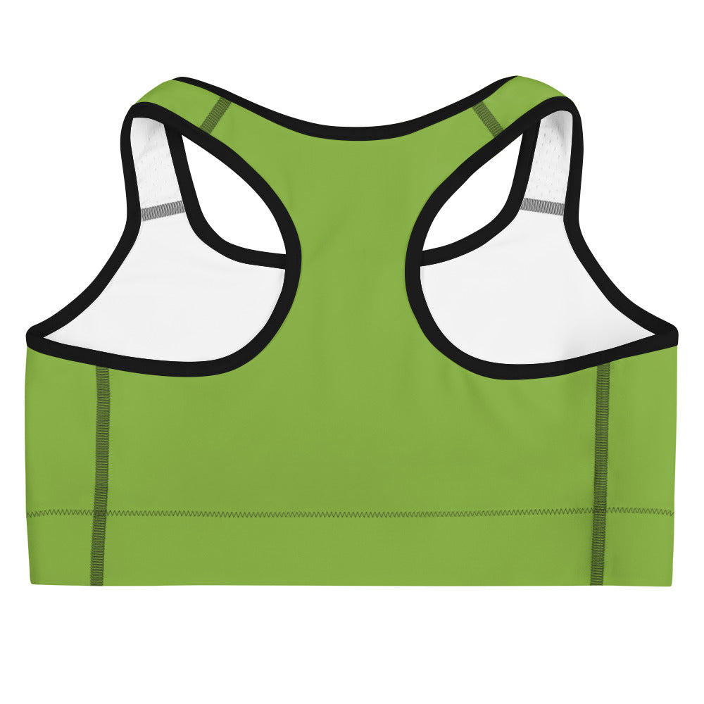 POW Sports bra (Titanite) with Purple