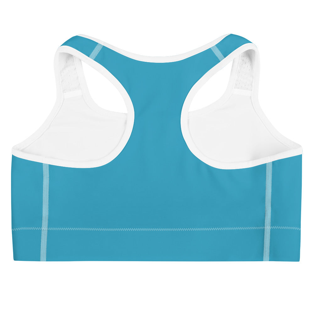 POW Sports bra (Horizon Blue)