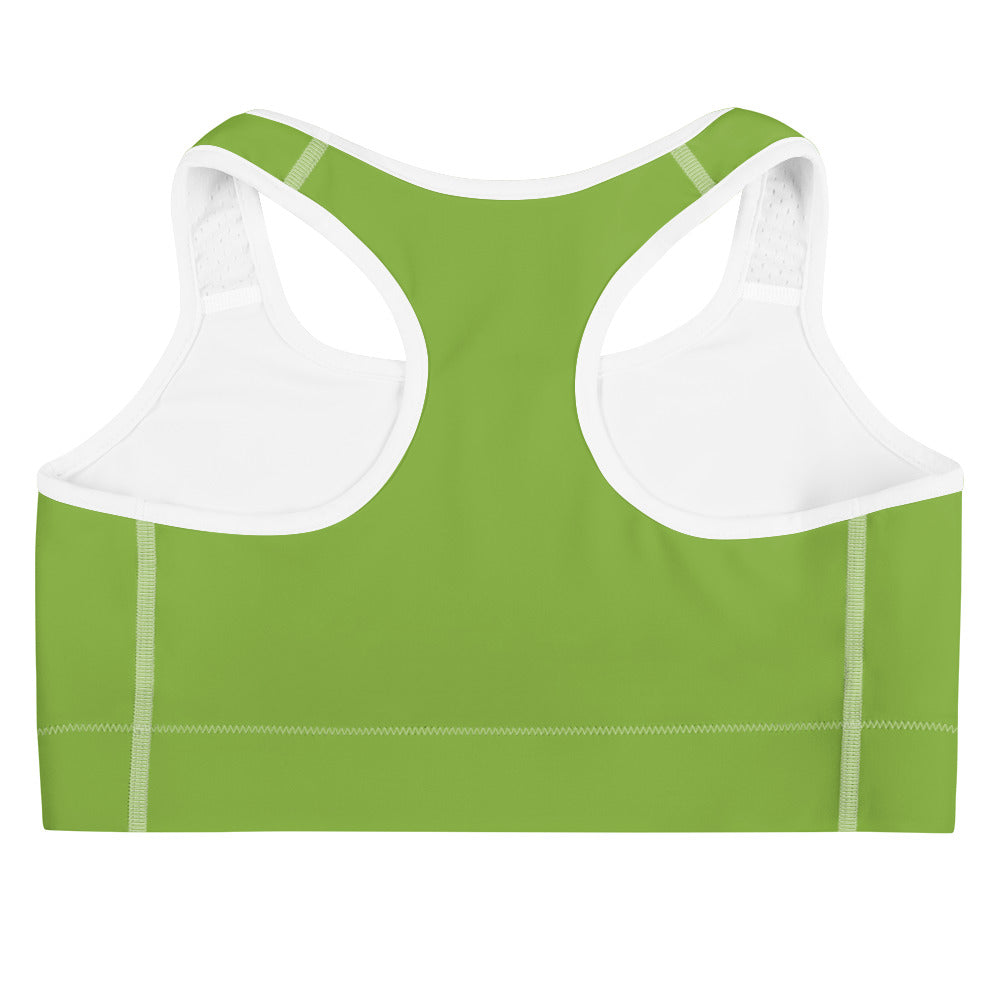 POW Sports bra (Titanite) with Purple