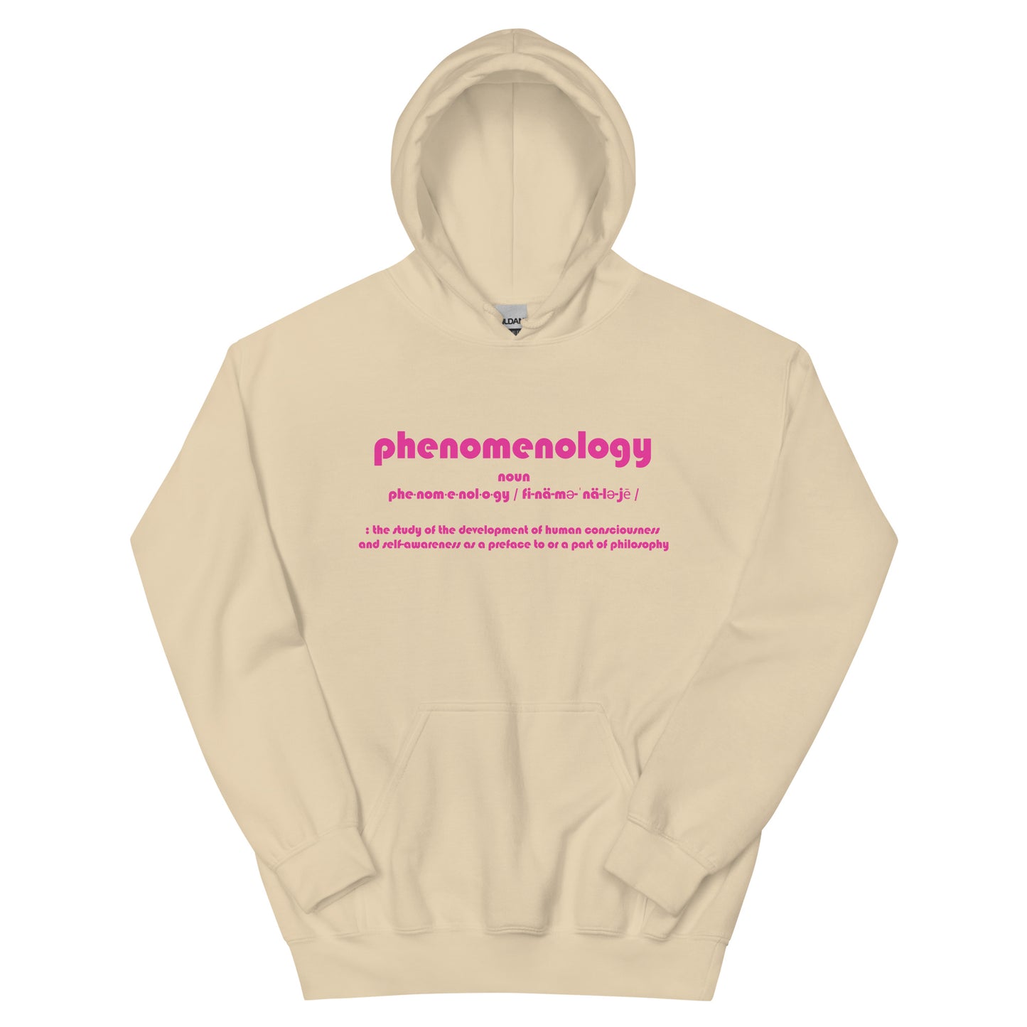 Phenomenology Unisex Hoodie