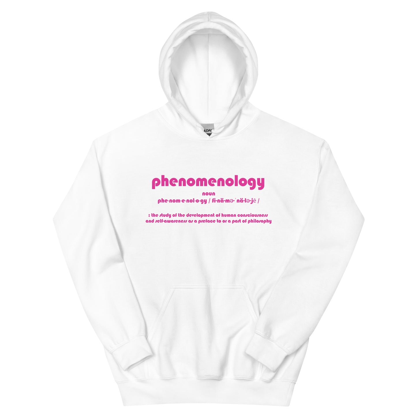 Phenomenology Unisex Hoodie